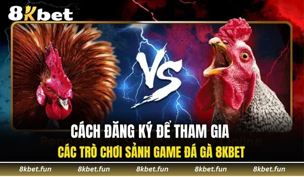 Cách đăng ký để tham gia các trò chơi sảnh game đá gà 8KBET